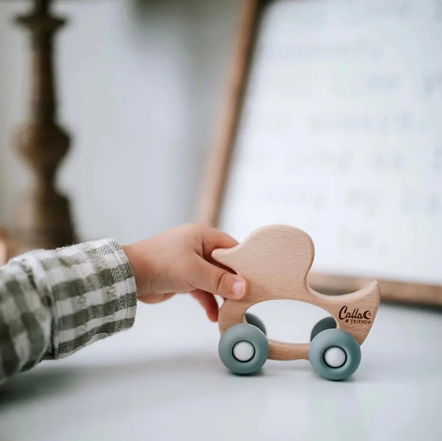 The Tiny Details Duck Rollin' Friends
