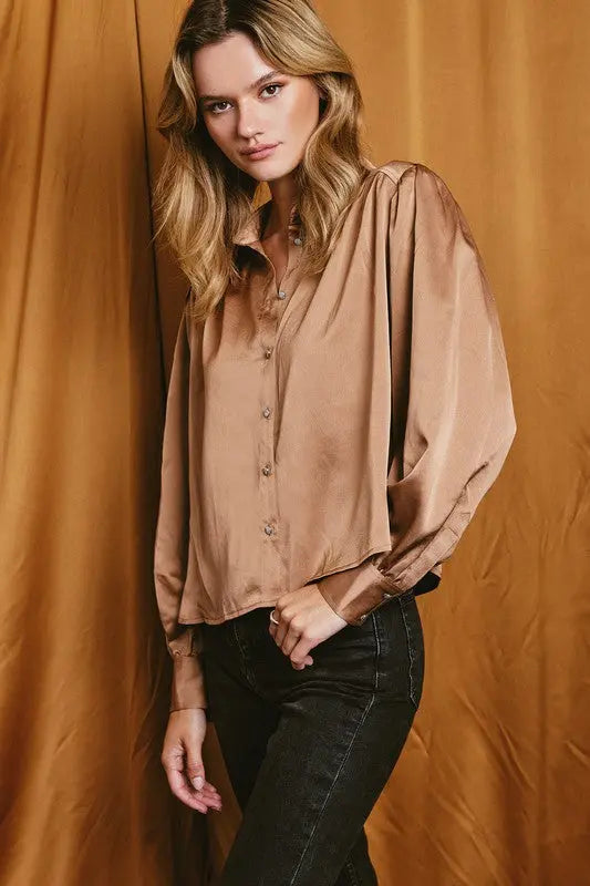 The Tiny Details Satin Bedazzled Button Blouse