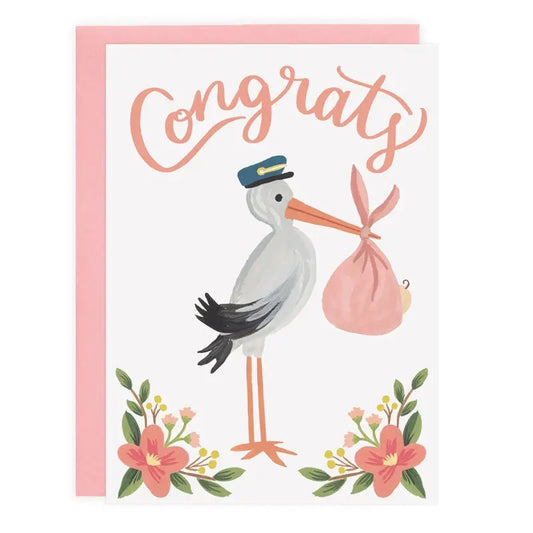 The Tiny Details Baby Pink Stork Congrats Greeting Card