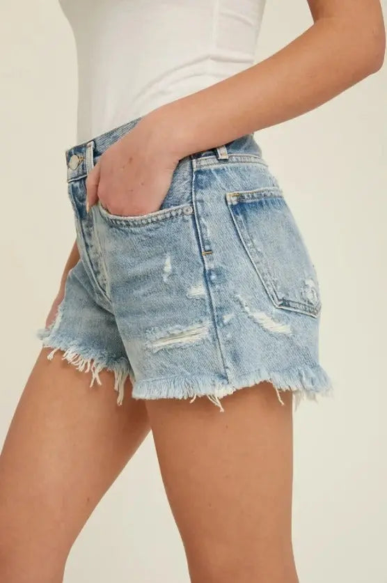 The Tiny Details Frayed Hem Distressed Denim Shorts