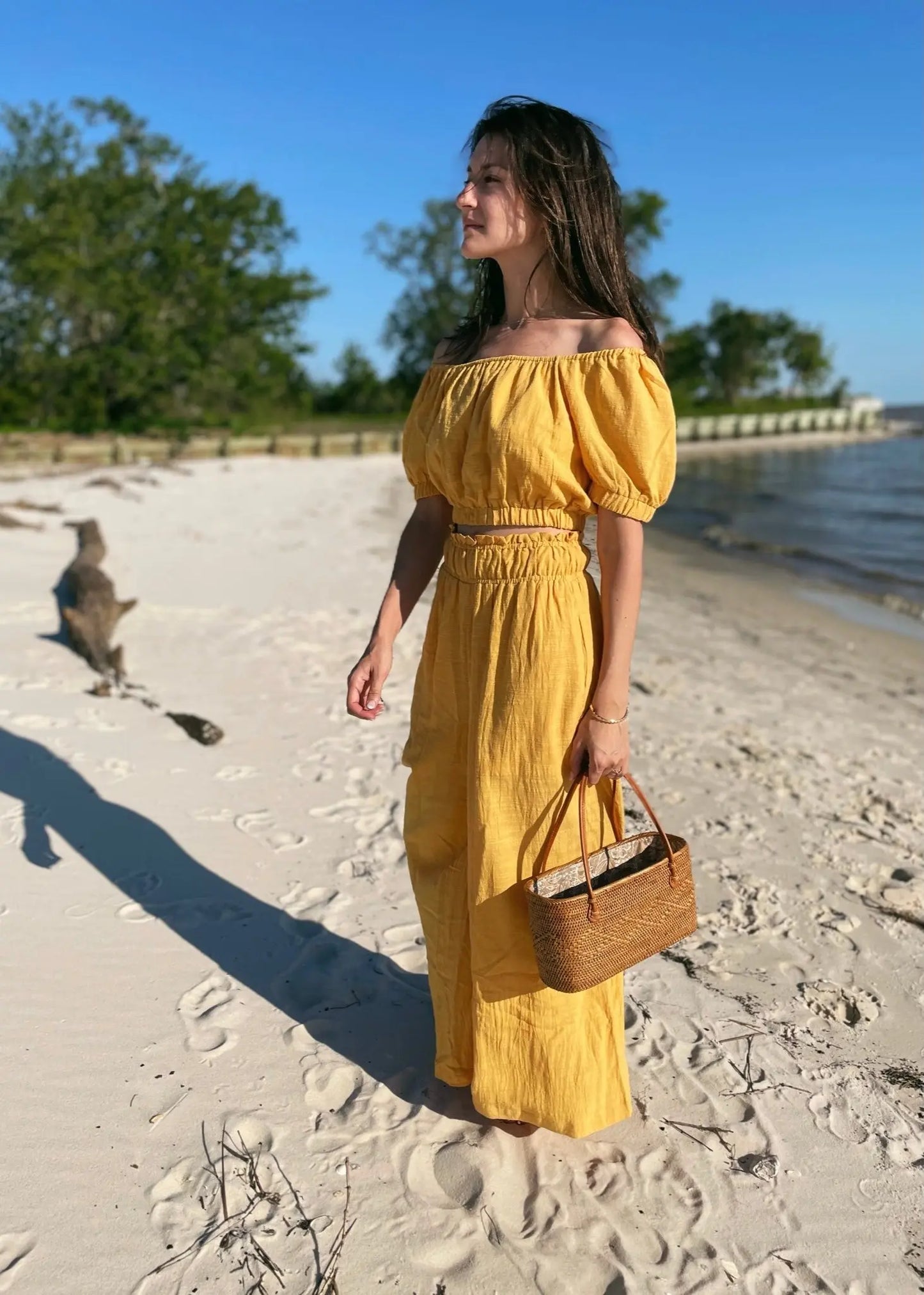 The Tiny Details High-Waist Yellow Wide Leg Pants