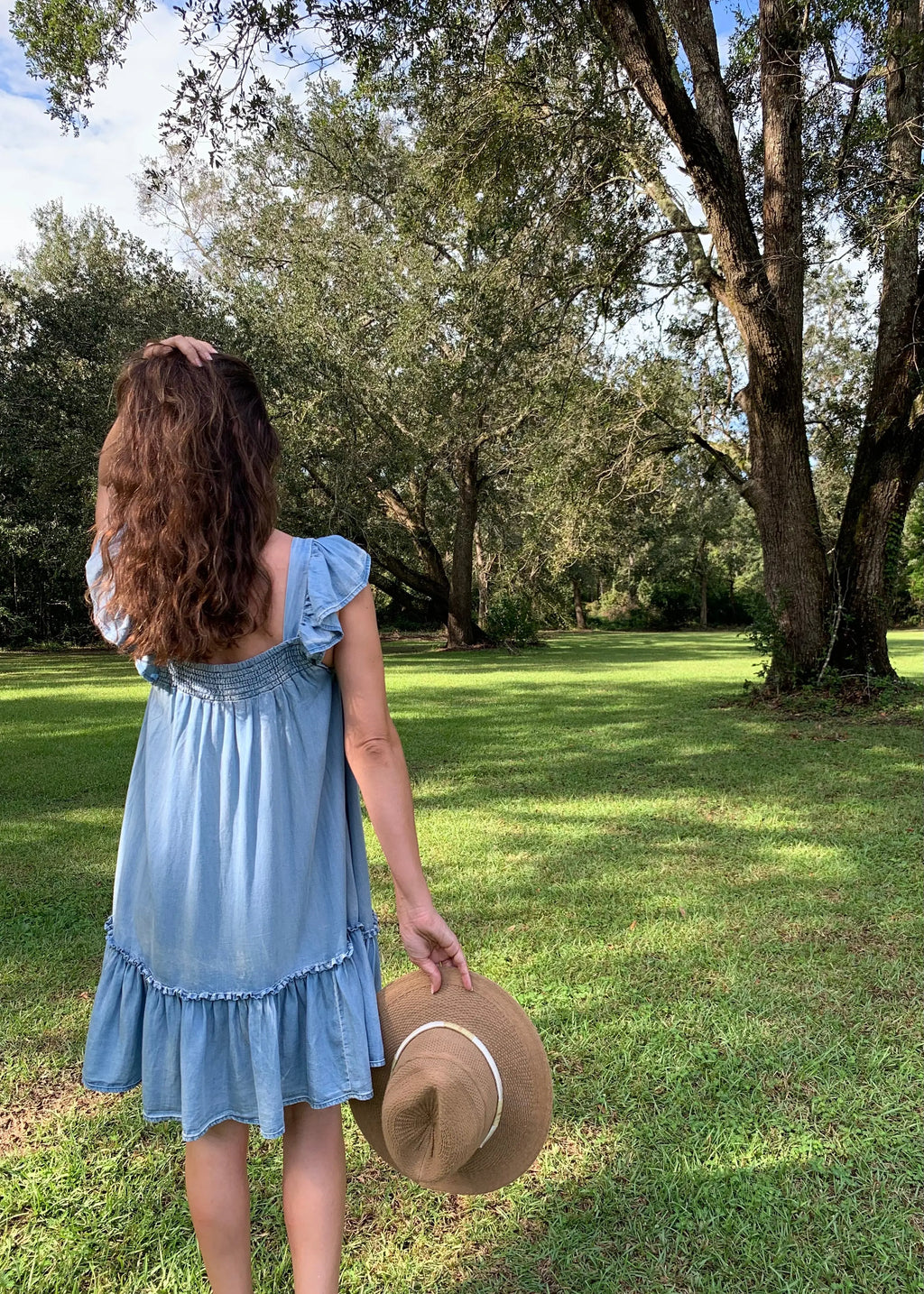 The Tiny Details Ruffled Cap Sleeve Chambray Babydoll Dress