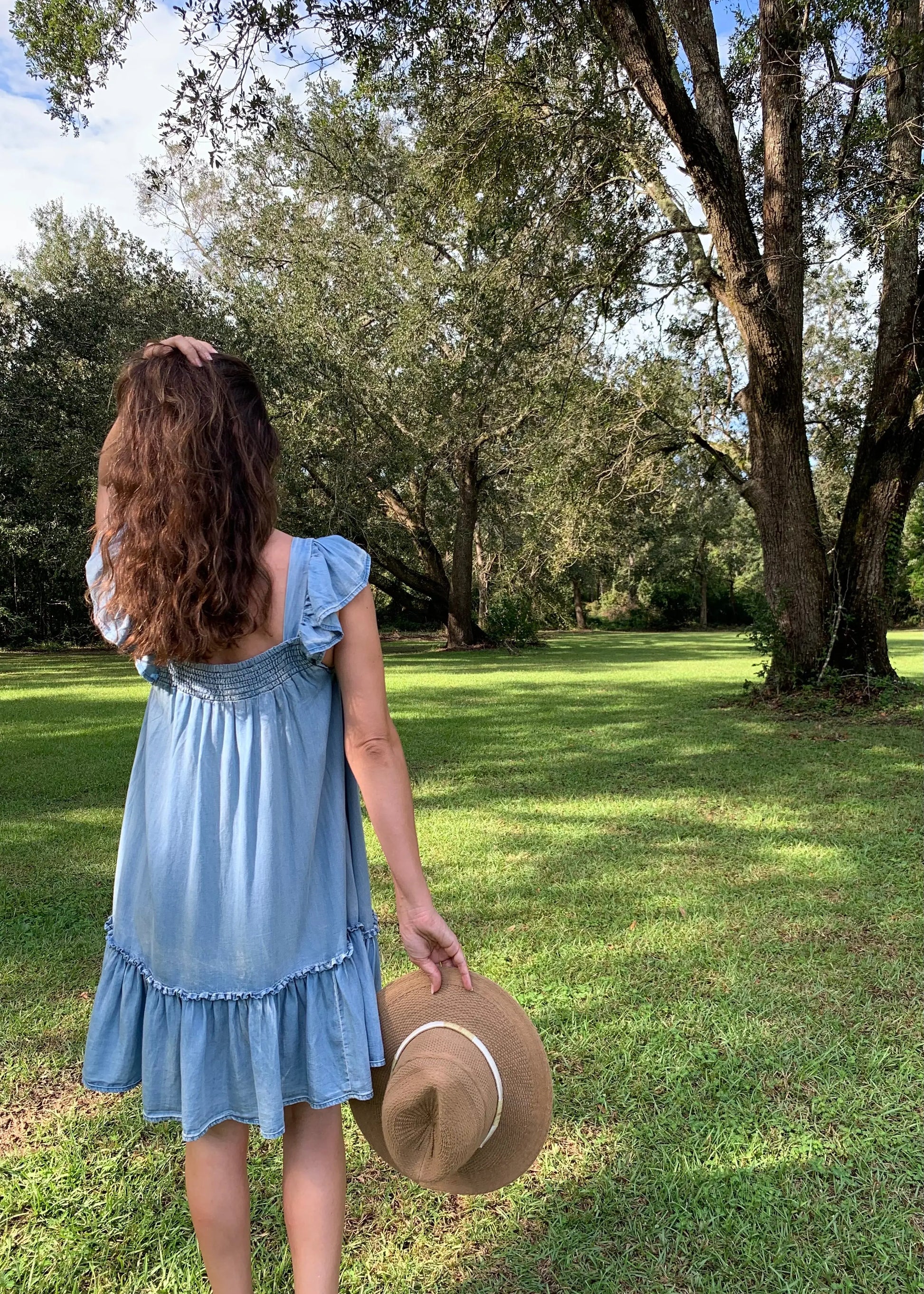 The Tiny Details Ruffled Cap Sleeve Chambray Babydoll Dress