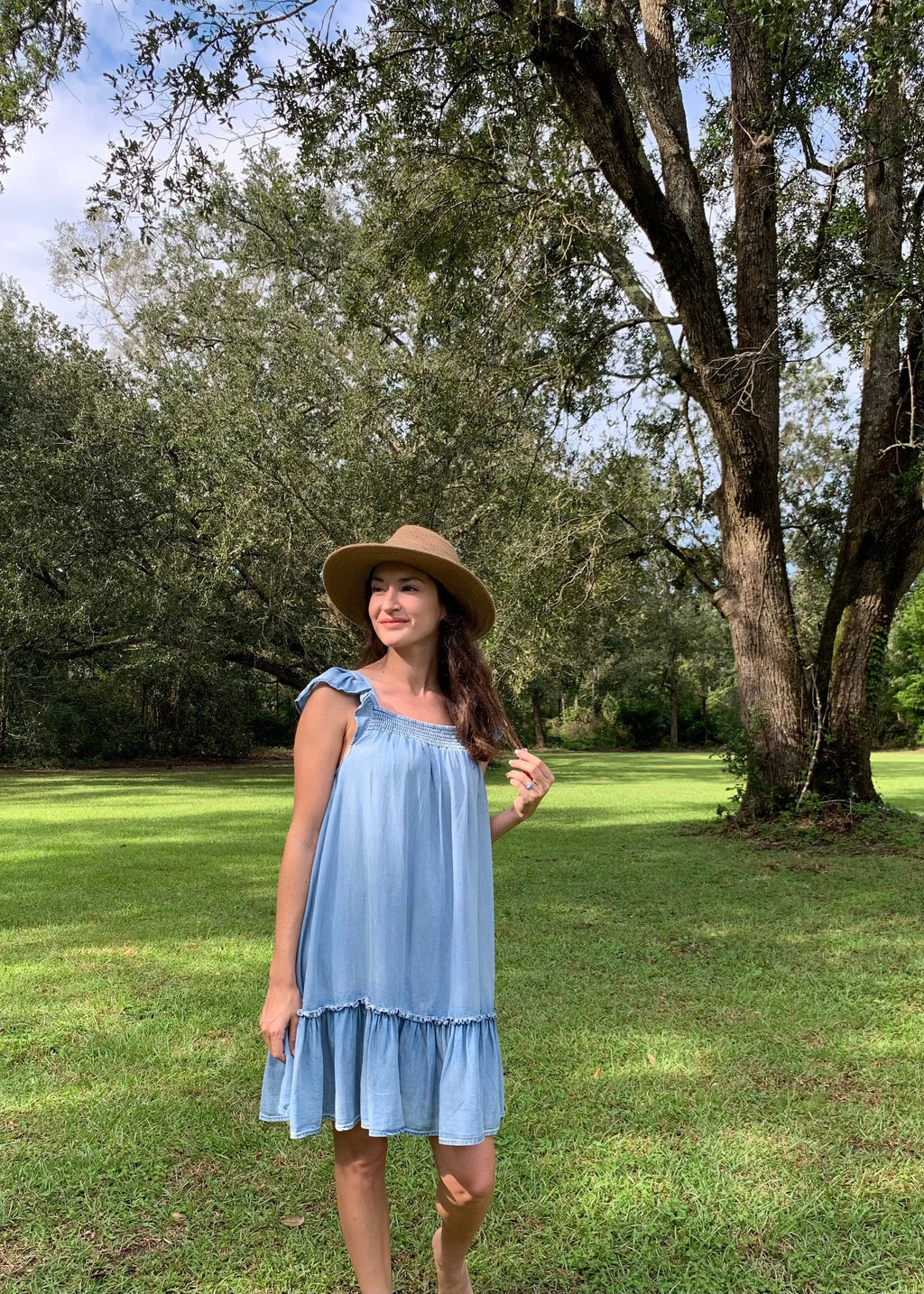 The Tiny Details Ruffled Cap Sleeve Chambray Babydoll Dress
