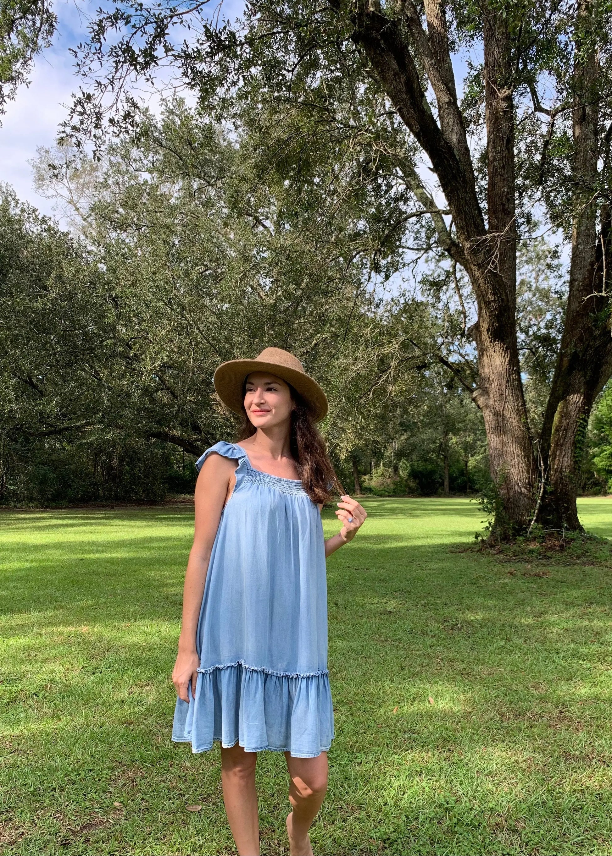 The Tiny Details Ruffled Cap Sleeve Chambray Babydoll Dress
